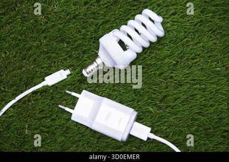 Energy saving bulb and electric plug in the grass Stock Photo