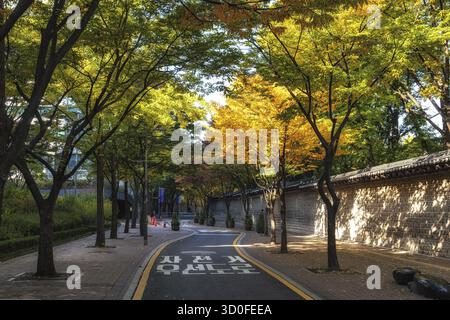 Deoksugung palace doldam gil road surrounded in autumn leaves. Taken in Seoul, South Korea Stock Photo