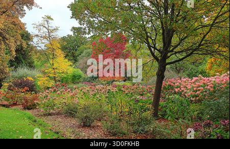 Autumn Colours in an English Landscape garden Stock Photo