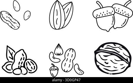 Collection of nut icons showing different types of nuts Stock Vector