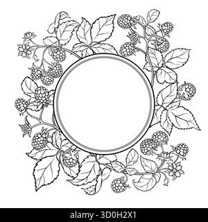 Raspberry Branch with Flowers, Berries and Leaves Outline Round Frame. Organic natural nutritional healthy food ingredient, vegetarian diet product. V Stock Vector