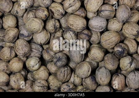 freshly harvested walnuts for background use Stock Photo