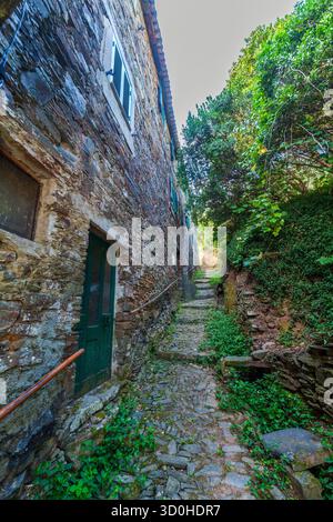 A narrow, cobblestone alley winds steeply uphill between ancient stone walls and lush greenery, leading to a sunlit path under a bright sky Stock Photo