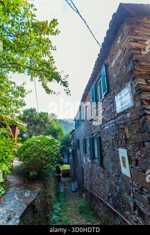 A narrow, sun-dappled alley winds between ancient stone buildings with green shutters and a tiled sign, flanked by lush trees and bushes under a brigh Stock Photo