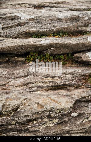 ancient mossy rocks, weathered rocks with moss, horizontally layered mosscovered sedimentary rocks Stock Photo