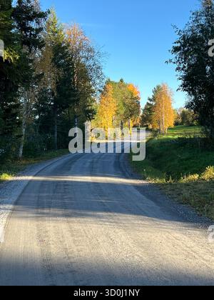 Winding rural road through colorful autumn trees under a bright blue sky in Jamtland, Sweden. Stock Photo