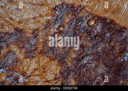 Thick foam on the surface of cocoa drinks, close up, top view. Backgrounds and texture cocoa milk foam Stock Photo