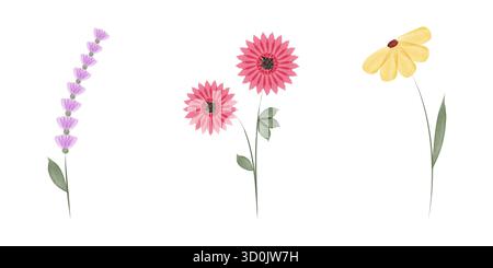 Three simple watercolor illustrations appear on a white background. From left to right are a lavender sprig, two pink flowers, and a yellow daisy. Each has a thin green stem and leaves. Stock Vector