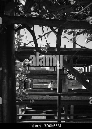 Urban loneliness: acting in solitude Stock Photo - Alamy