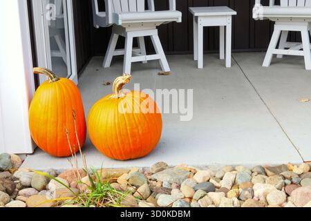 Two orange pumpkins with curved stems on a cement patio. Stock Photo