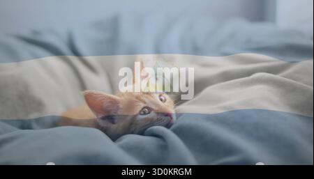 Ginger kitten peeking from under grey-blue duvet on bed, with Nicaraguan coat of arms overlay Stock Photo
