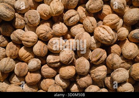 The textured background of walnuts in shells shows the detail and richness of this natural healthy food product and autumn harvest Stock Photo