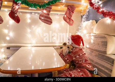 Person hugging dog wearing santa hat, enjoying festive holiday decorations inside motor home Stock Photo