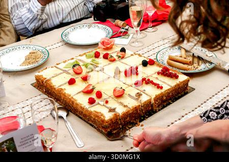 Layered ice cream cake decorated with fresh strawberries and raspberries, served on a table during a festive occasion. Stock Photo