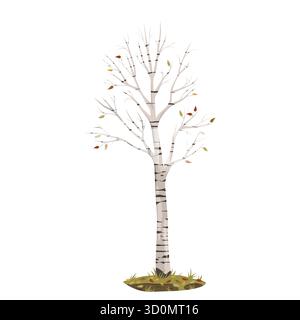 Birch tree with fallen leaves. Vector autumn wood clipart. Fall timer scene. Seasonal flora element for forest, woodland, natural park. Botany, biology wilderness, forestry. Trunk without leaf. Stock Vector