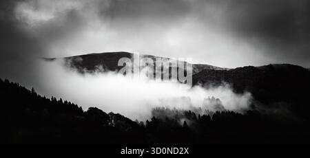 Lake district Cumbria,  in autumn with low cloud on the hillside. in black and white. Stock Photo