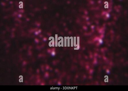 Abstract Pink Magenta and Black Grainy Texture Background with Subtle Spotlight defocused effect. High quality. Stock Photo