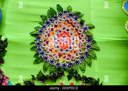 Colorful Decorative Plates with Peacock Motifs on Green Backdrop Stock Photo
