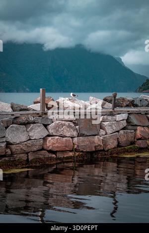 A wall built of stones and boulders. A fjord in Norway and mountains covered with forest and fog. A seagull sitting on a rock. Stock Photo