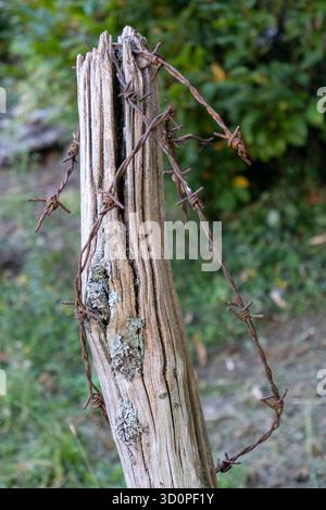Old, weathered wooden fence post with rust and lichens, wrapped in rusty barbed wire. Detailed shot of a rural boundary. Stock Photo