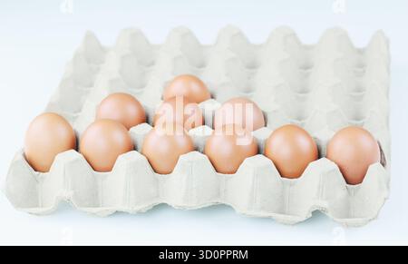 Fresh eggs placed in a cardboard egg carton. Stock Photo