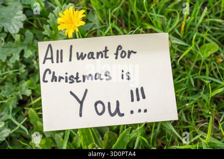 Notebook paper with “All I Wish for Christmas is You” on green grass with white chamomile – top view Stock Photo