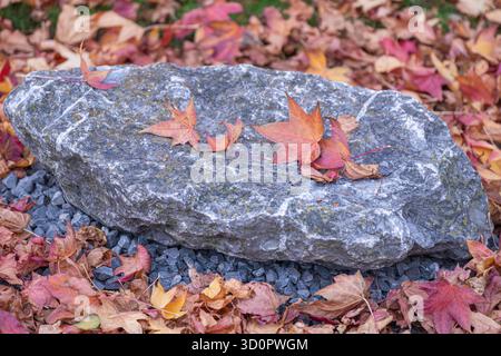 Gray stone with autumn leaves on background of yellow and red foliage – fall nature background side view Stock Photo