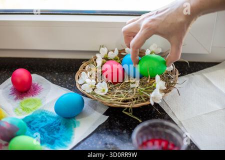 A hand places a brightly colored Easter egg into a decorative nest with eggs and white flowers, preparing for Easter. Stock Photo