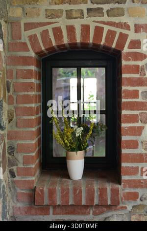 Window Stillness – Wildflowers in Light Stock Photo