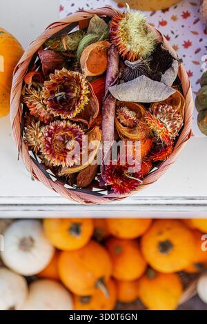 A bouquet of dried flowers on display in a shop. Below, a display of various types of pumpkins. Stock Photo