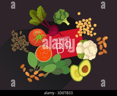 Healthy food high in Vitamin B9 (folate) - Stock Illustration as EPS 10 File Stock Vector