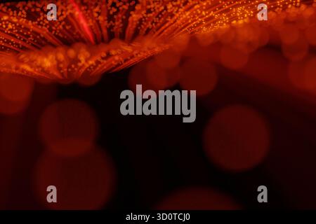 Abstract Red Bokeh Background With Glowing Fiber Optic Lights. Futuristic Digital Technology Concept, Data Transfer, Internet Communication, Or Festiv Stock Photo