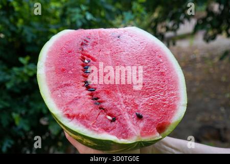 Hand holding a fresh slice of ripe watermelon on a summer day. Stock Photo
