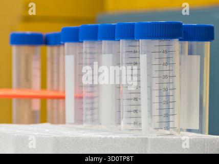 Plastic test tubes empty bottle vials milliliter measurement with caps in styrofoam tray. Stock Photo
