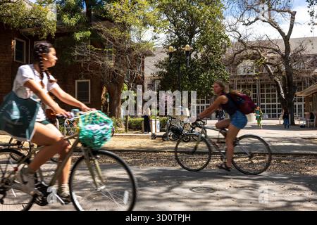 Primarily Davis April 10, 2025, Davis, California, USA: Spring flowers and the UC Davis ...