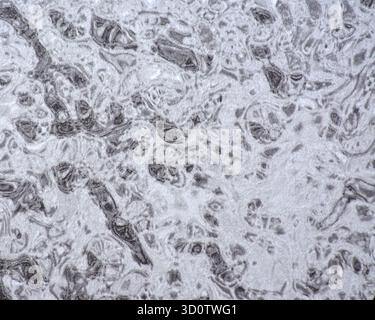 Light gray marble, seamless background with a natural stone pattern close-up. Background, texture. Stock Photo