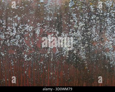 Rusty metal texture. Rusty painted metal surface texture. Rusted background. Stock Photo