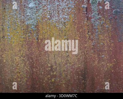 Rusty metal texture. Rusty painted metal surface texture. Rusted background. Stock Photo