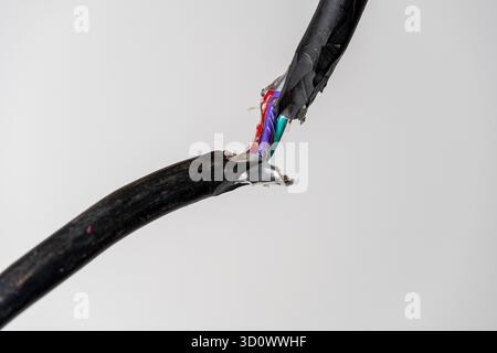 A close up of a broken black electric cord with red and electric blue wires intertwined. Damaged power electrical cable on white background Stock Photo
