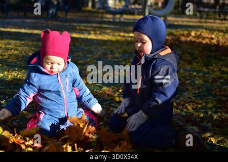 Two toddlers playing joyfully in a pile of autumn leaves at the playground, dressed warmly in colorful snowsuits and gloves, enjoying the golden fall Stock Photo