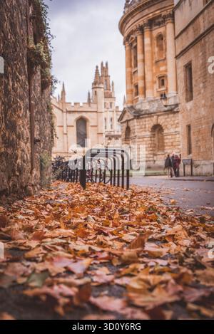 Radcliffe Camera with Autumn leaves, Oxford, UK Stock Photo