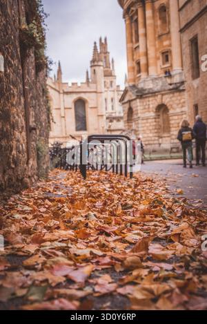 Radcliffe Camera with Autumn leaves, Oxford, UK Stock Photo