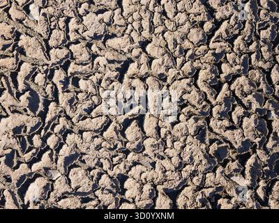 In a sunlit area, the ground is parched and cracked, revealing intricate patterns of dried earth. This scene showcases the effects of heat and lack of Stock Photo