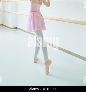 Young caucasian female ballet dancer practicing at barre in pink tutu and white tights. Stock Photo