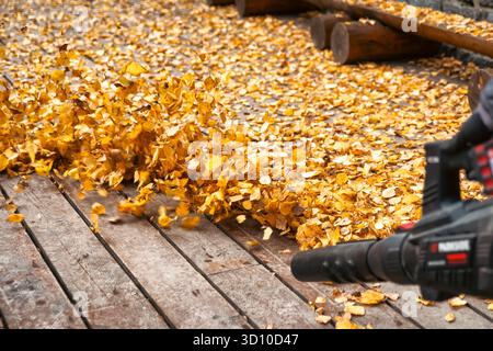 Low angle view of blowing leaves in motion during autumn cleanup, person using modern leaf blower outdoors Stock Photo