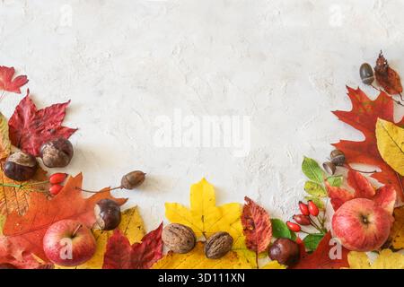 Half frame autumn background, flat lay in with fall leaves, apples, acorns, chestnuts and rose hips on a white plaster surface, copy space, selected f Stock Photo