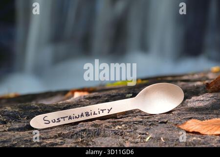Sustainability concept. Wooden spoon with sustainability word on it. Environmentally friendly disposable spoon in nature. Compostable eco-friendly spo Stock Photo