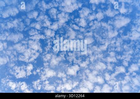 Panoramic view of the blue sky with lots of small altocumulus clouds, at daytime, Leningrad Oblast, Russia Stock Photo