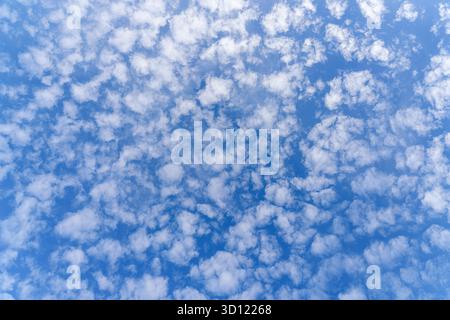 Panoramic view of the blue sky with lots of small altocumulus clouds, at daytime, Leningrad Oblast, Russia Stock Photo