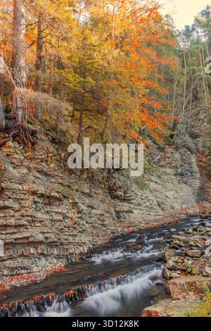 Small cascading stream flows through layered rocks and vibrant autumn forest. A tranquil natural scene with geological and seasonal contrast. Stock Photo